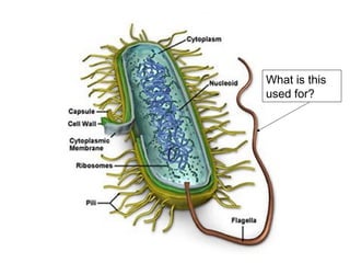 What is this
used for?
 
