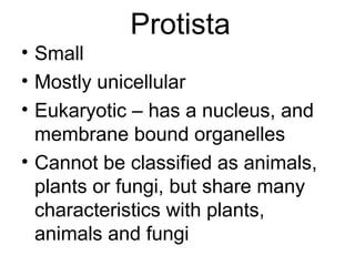 Protista
• Small
• Mostly unicellular
• Eukaryotic – has a nucleus, and
  membrane bound organelles
• Cannot be classified as animals,
  plants or fungi, but share many
  characteristics with plants,
  animals and fungi
 