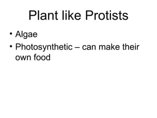 Plant like Protists
• Algae
• Photosynthetic – can make their
  own food
 