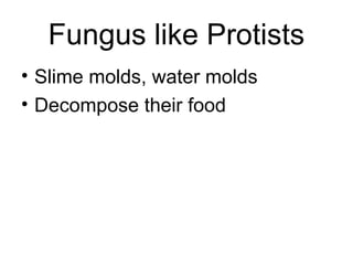 Fungus like Protists
• Slime molds, water molds
• Decompose their food
 
