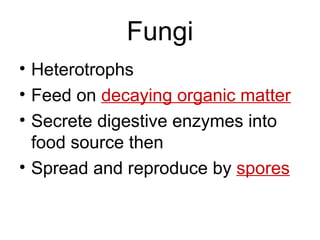 Fungi
• Heterotrophs
• Feed on decaying organic matter
• Secrete digestive enzymes into
  food source then
• Spread and reproduce by spores
 