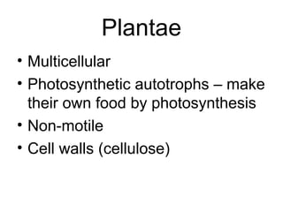 Plantae
• Multicellular
• Photosynthetic autotrophs – make
  their own food by photosynthesis
• Non-motile
• Cell walls (cellulose)
 