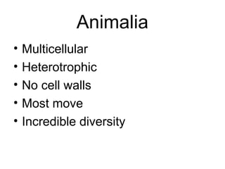 Animalia
•   Multicellular
•   Heterotrophic
•   No cell walls
•   Most move
•   Incredible diversity
 