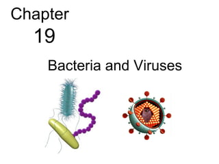 Chapter
  19
    Bacteria and Viruses
 