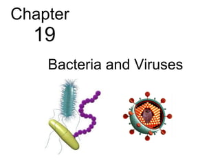 Chapter    19 Bacteria and Viruses 