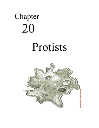 Chapter
  20
    Protists
 