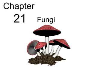 Chapter
  21      Fungi
 