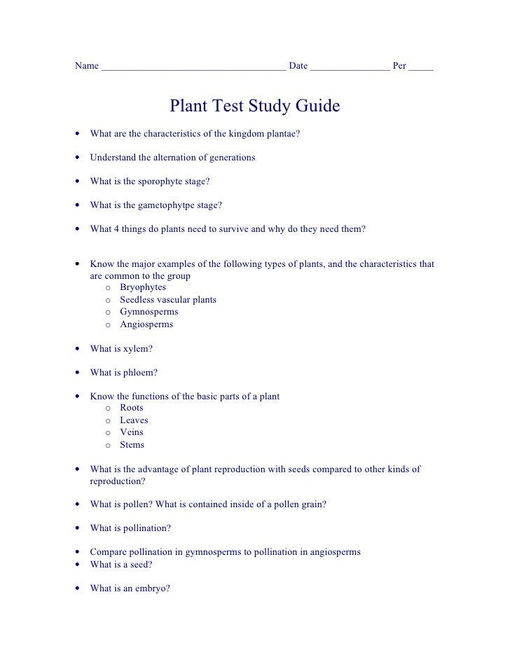 Biology Chp 2225 Plants Study Guide