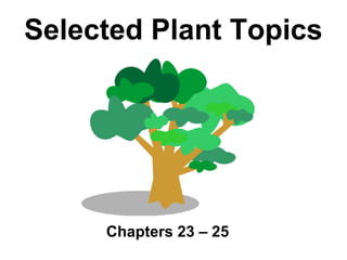 Selected Plant Topics




     Chapters 23 – 25
 