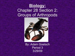 Biology: Chapter 28 Section 2: Groups of Arthropods By: Adam Goetsch Period 3 3/29/09 