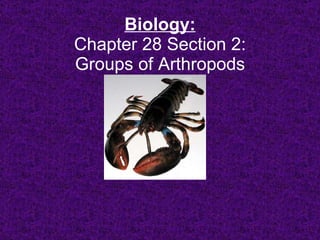 Biology: Chapter 28 Section 2: Groups of Arthropods 