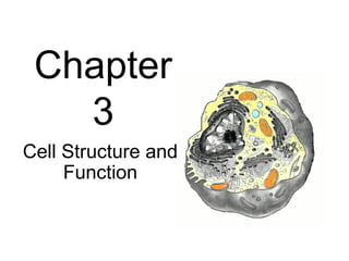 Chapter
   3
Cell Structure and
     Function
 