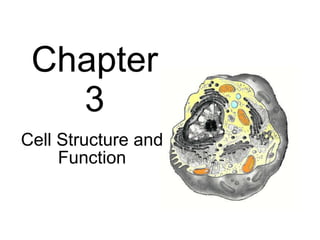 Chapter 3 Cell Structure and Function 