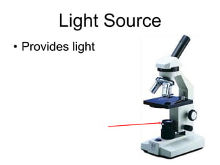 Light Source Provides light 