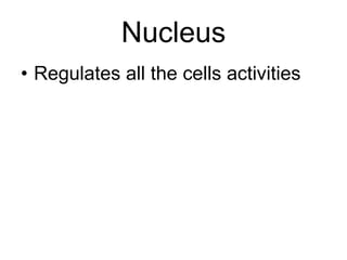 Nucleus Regulates all the cells activities 