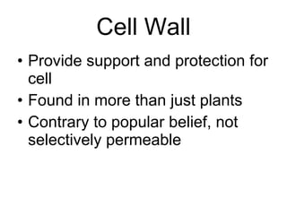Cell Wall Provide support and protection for cell Found in more than just plants Contrary to popular belief, not selectively permeable 