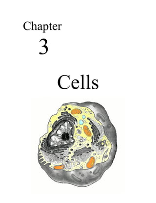 Chapter
  3
      Cells
 