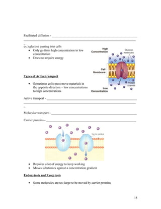 Facilitated diffusion - ______________________________________________________
_______________________________________________________________________
_
ex.) glucose passing into cells
    • Only go from high concentration to low
        concentration
    • Does not require energy




Types of Active transport

   •   Sometimes cells must move materials in
       the opposite direction – low concentrations
       to high concentrations

Active transport - _________________________________________________________
_______________________________________________________________________
_

Molecular transport - ______________________________________________________

Carrier proteins - _________________________________________________________




   •   Requires a lot of energy to keep working
   •   Moves substances against a concentration gradient

Endocytosis and Exocytosis

   •   Some molecules are too large to be moved by carrier proteins



                                                                            15
 