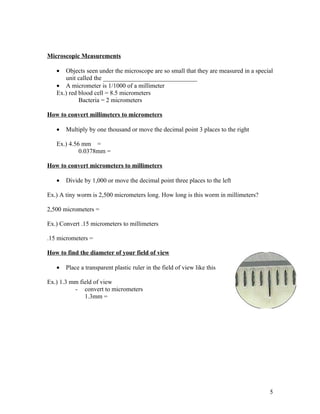 Microscopic Measurements

   •  Objects seen under the microscope are so small that they are measured in a special
      unit called the ______________________________
   • A micrometer is 1/1000 of a millimeter
   Ex.) red blood cell = 8.5 micrometers
            Bacteria = 2 micrometers

How to convert millimeters to micrometers

   •   Multiply by one thousand or move the decimal point 3 places to the right

   Ex.) 4.56 mm =
            0.0378mm =

How to convert micrometers to millimeters

   •   Divide by 1,000 or move the decimal point three places to the left

Ex.) A tiny worm is 2,500 micrometers long. How long is this worm in millimeters?

2,500 micrometers =

Ex.) Convert .15 micrometers to millimeters

.15 micrometers =

How to find the diameter of your field of view

   •   Place a transparent plastic ruler in the field of view like this

Ex.) 1.3 mm field of view
          - convert to micrometers
              1.3mm =




                                                                                      5
 