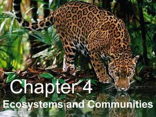 Ecosystems and Communities Chapter 4 