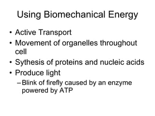 Using Biomechanical Energy Active Transport Movement of organelles throughout cell Sythesis of proteins and nucleic acids Produce light Blink of firefly caused by an enzyme powered by ATP 