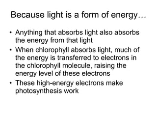 Because light is a form of energy… Anything that absorbs light also absorbs the energy from that light When chlorophyll absorbs light, much of the energy is transferred to electrons in the chlorophyll molecule, raising the energy level of these electrons These high-energy electrons make photosynthesis work 
