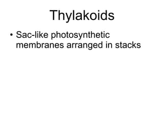 Thylakoids Sac-like photosynthetic membranes arranged in stacks 