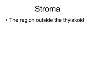 Stroma The region outside the thylakoid 