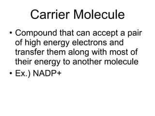 Carrier Molecule Compound that can accept a pair of high energy electrons and transfer them along with most of their energy to another molecule Ex.) NADP+ 