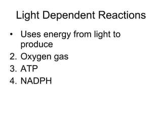 Light Dependent Reactions Uses energy from light to produce Oxygen gas ATP NADPH 