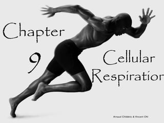 Chapter
  9        Cellular
          Respiration
 
