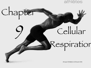 Cellular Respiration Chapter  9 