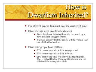 How is  Dwarfism Inherited? The affected gene is dominant over the unaffected gene. If two average sized people have children Dwarfism is not inherited It would be caused by a new mutation in egg or sperm. It is very unlikely that the couple will have more than one child with dwarfism. If two little people have children: 25% chance the child will be average sized. 50% chance the child will be a dwarf. 25% chance the child will get both affected genes. This is called Double Dominant Syndrome and the child will die shortly after birth. 