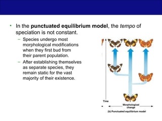 Biology-EvolutionBiology-Evolution.pptBiology-Evolution.ppt.ppt