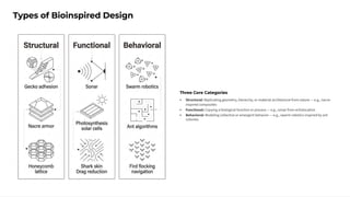 Bioinspired Engineering: Nature's Designs in Sensing and Energy Systems ...