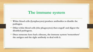 The immune system
• White blood cells (lymphocytes) produce antibodies to disable the
pathogen.
• Other white blood cells (the phagocytes) then engulf and digest the
disabled pathogens.
• Once someone have had a disease, the immune system ‘remembers’
the antigen and the right antibody to deal with it.
 
