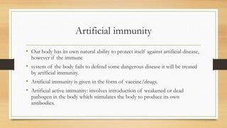Artificial immunity
• Our body has its own natural ability to protect itself against artificial disease,
however if the immune
• system of the body fails to defend some dangerous disease it will be treated
by artificial immunity.
• Artificial immunity is given in the form of vaccine/drugs.
• Artificial active immunity: involves introduction of weakened or dead
pathogen in the body which stimulates the body to produce its own
antibodies.
 