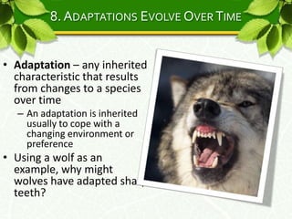 Biology - Chapter 1.1 | PPTX