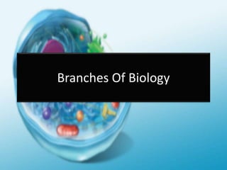 Branches Of Biology