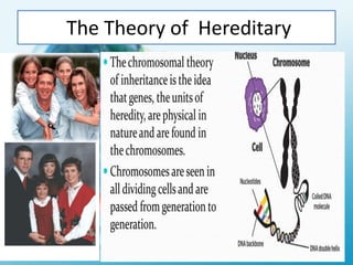 The Theory of Hereditary