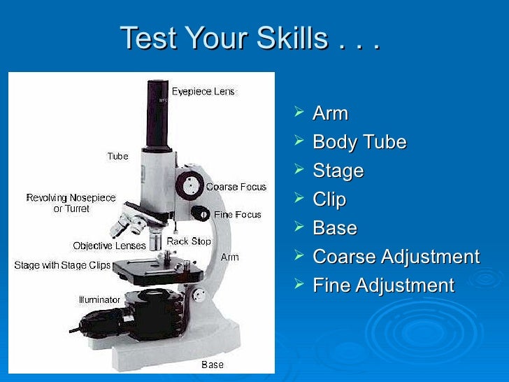 Biology microscopesquiz