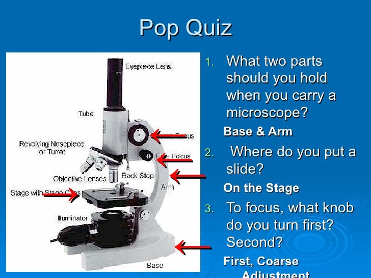 Microscope Parts And Functions