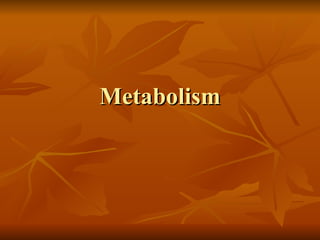 Metabolism 