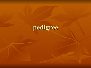 pedigree 