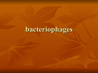 bacteriophages 