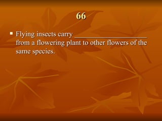 66 Flying insects carry ____________________ from a flowering plant to other flowers of the same species.   