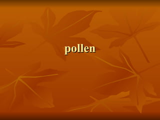 pollen 