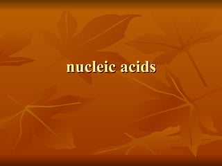 nucleic acids 