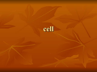 cell 