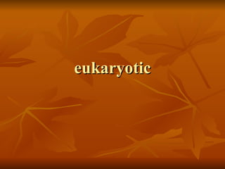 eukaryotic 